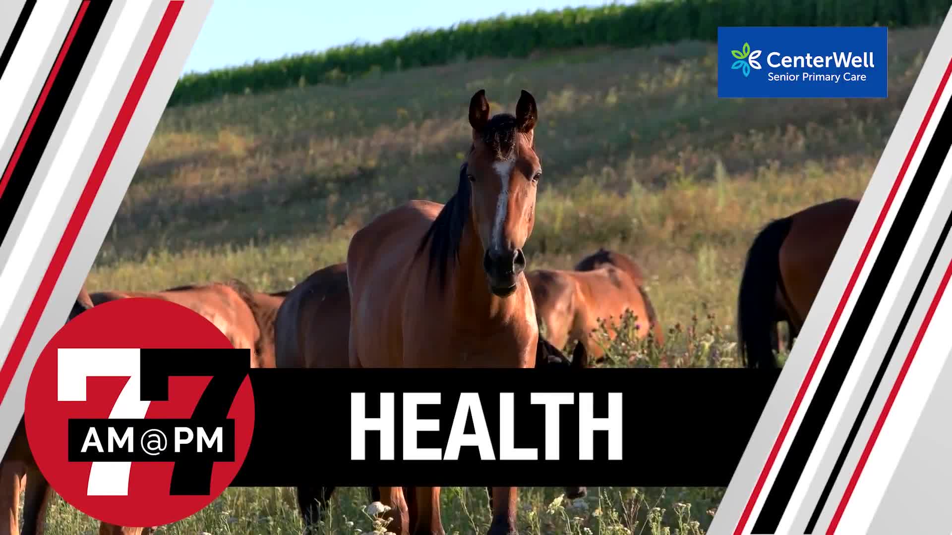 Two horses catch west nile virus